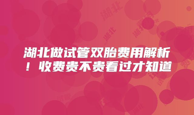 湖北做试管双胎费用解析!收费贵不贵看过才知道