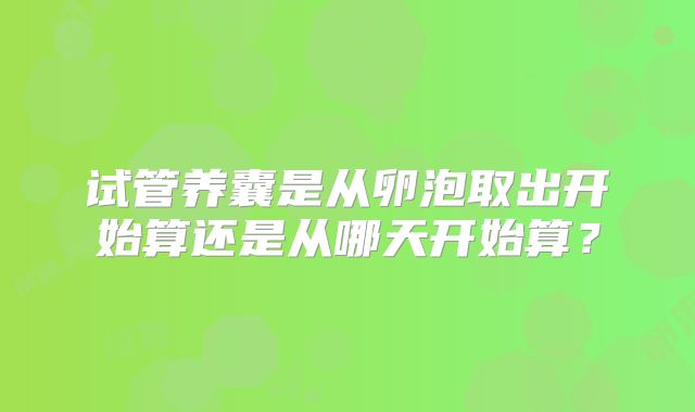 试管养囊是从卵泡取出开始算还是从哪天开始算？