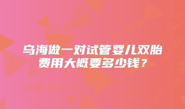 乌海做一对试管婴儿双胎费用大概要多少钱?