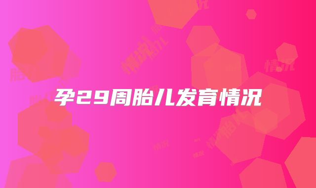 孕29周胎儿发育情况