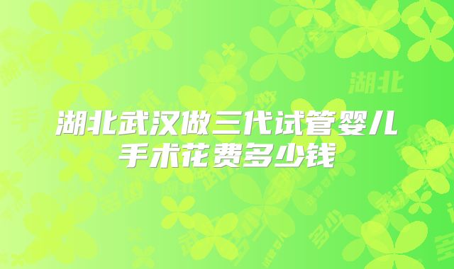 湖北武汉做三代试管婴儿手术花费多少钱