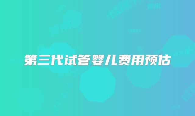 第三代试管婴儿费用预估