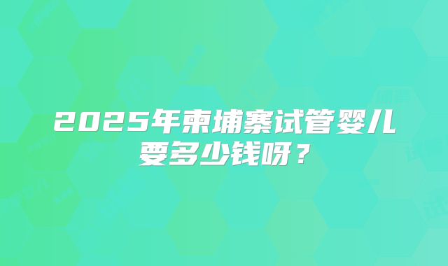 2025年柬埔寨试管婴儿要多少钱呀？