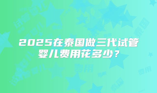 2025在泰国做三代试管婴儿费用花多少?