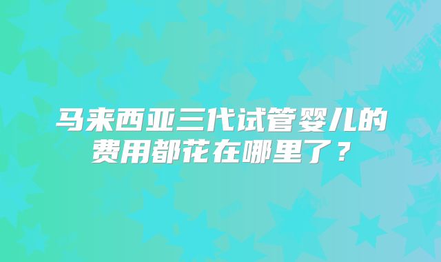 马来西亚三代试管婴儿的费用都花在哪里了?