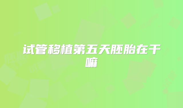 试管移植第五天胚胎在干嘛