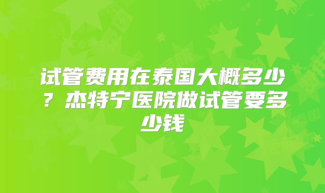 试管费用在泰国大概多少？杰特宁医院做试管要多少钱