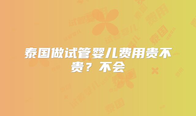 泰国做试管婴儿费用贵不贵？不会