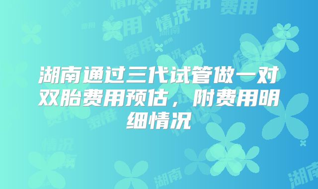 湖南通过三代试管做一对双胎费用预估,附费用明细情况