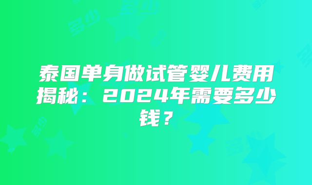 泰国单身做试管婴儿费用揭秘：2024年需要多少钱？