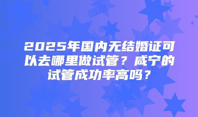 2025年国内无结婚证可以去哪里做试管?咸宁的试管成功率高吗?