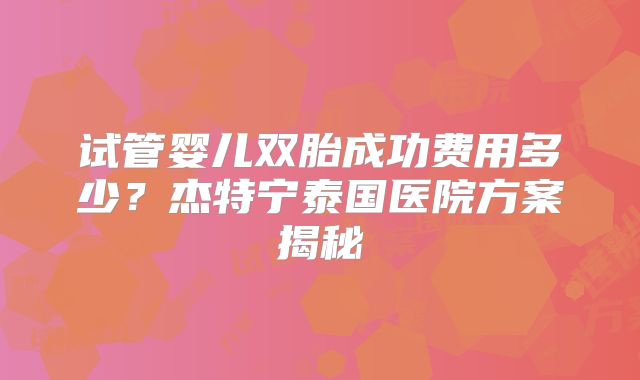 试管婴儿双胎成功费用多少？杰特宁泰国医院方案揭秘