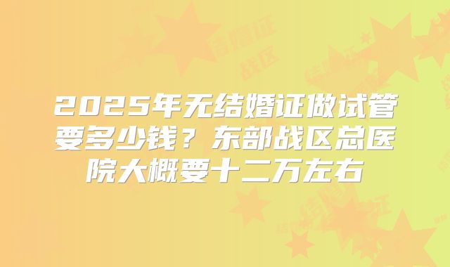 2025年无结婚证做试管要多少钱？东部战区总医院大概要十二万左右