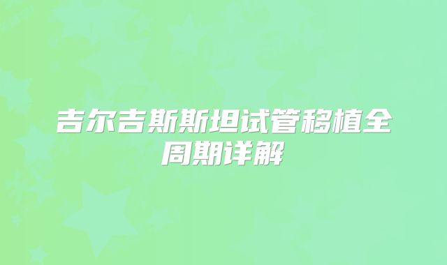 吉尔吉斯斯坦试管移植全周期详解