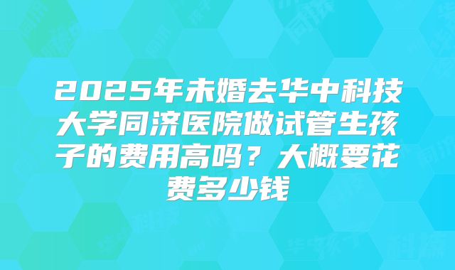 2025年未婚去华中科技大学同济医院做试管生孩子的费用高吗?大概要花费多少钱