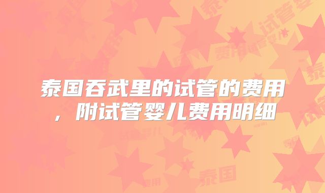 泰国吞武里的试管的费用,附试管婴儿费用明细