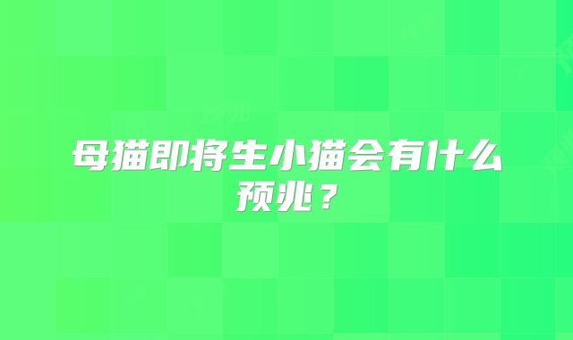 母猫即将生小猫会有什么预兆?