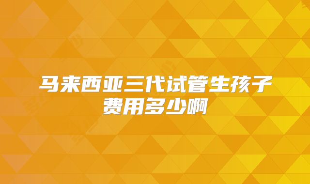 马来西亚三代试管生孩子费用多少啊