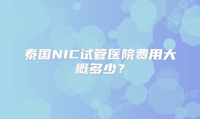 泰国NIC试管医院费用大概多少？