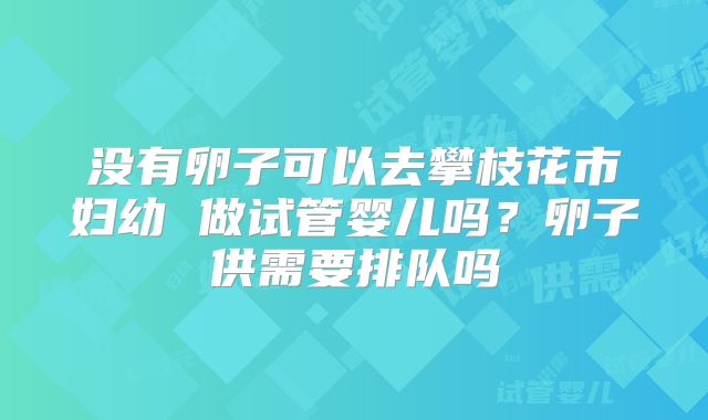 没有卵子可以去攀枝花市妇幼 做试管婴儿吗?卵子供需要排队吗