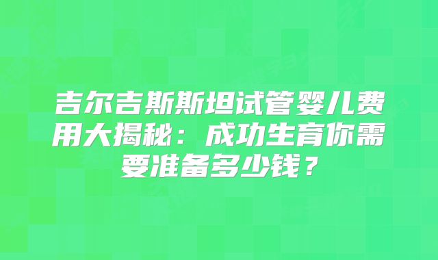 吉尔吉斯斯坦试管婴儿费用大揭秘：成功生育你需要准备多少钱？