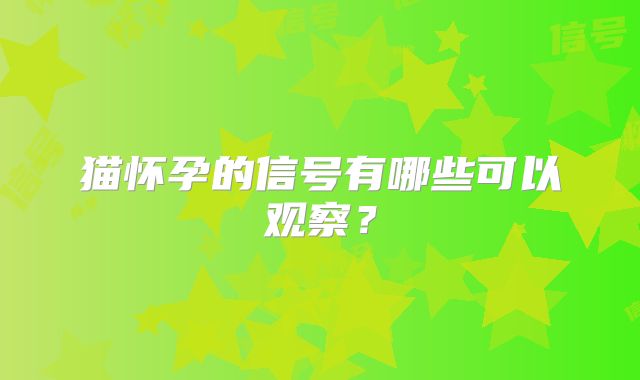 猫怀孕的信号有哪些可以观察?