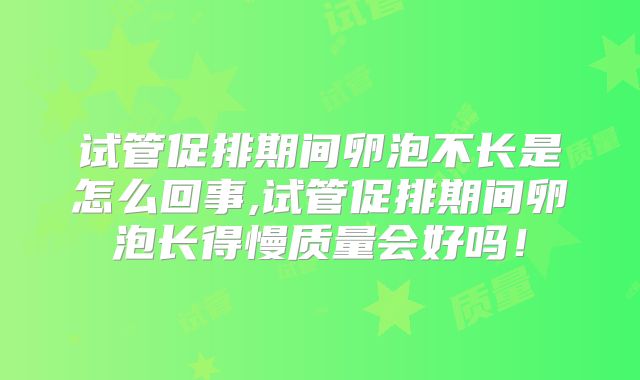 试管促排期间卵泡不长是怎么回事,试管促排期间卵泡长得慢质量会好吗！
