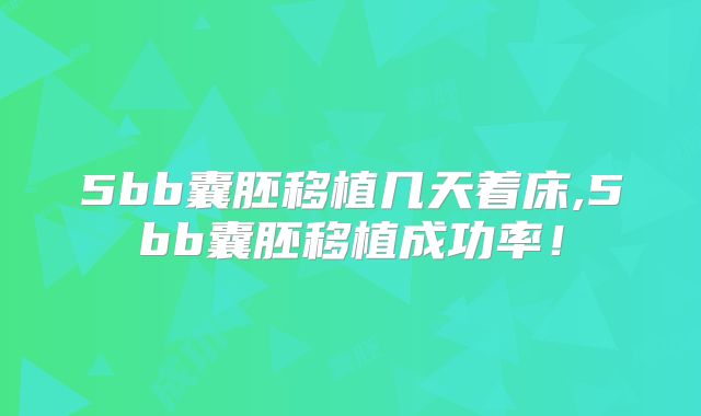 5bb囊胚移植几天着床,5bb囊胚移植成功率!