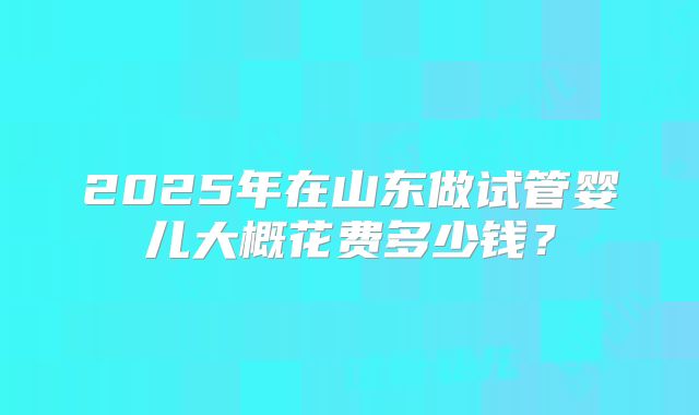2025年在山东做试管婴儿大概花费多少钱？