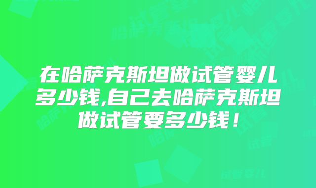在哈萨克斯坦做试管婴儿多少钱,自己去哈萨克斯坦做试管要多少钱！