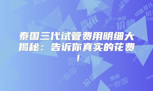 泰国三代试管费用明细大揭秘：告诉你真实的花费！