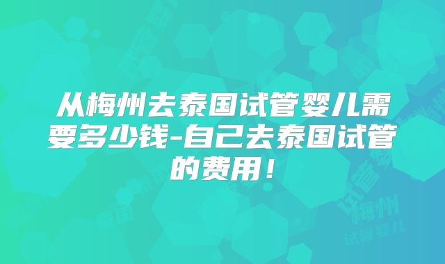 从梅州去泰国试管婴儿需要多少钱-自己去泰国试管的费用！