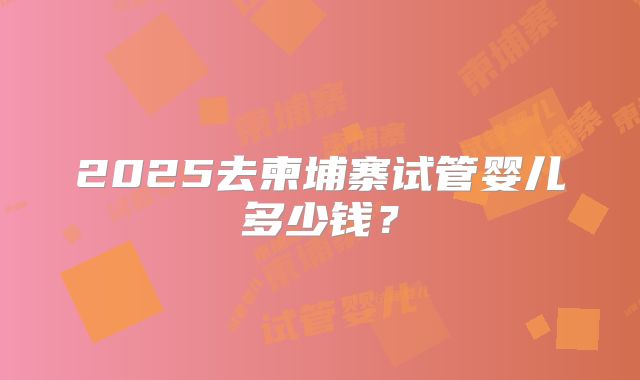2025去柬埔寨试管婴儿多少钱？