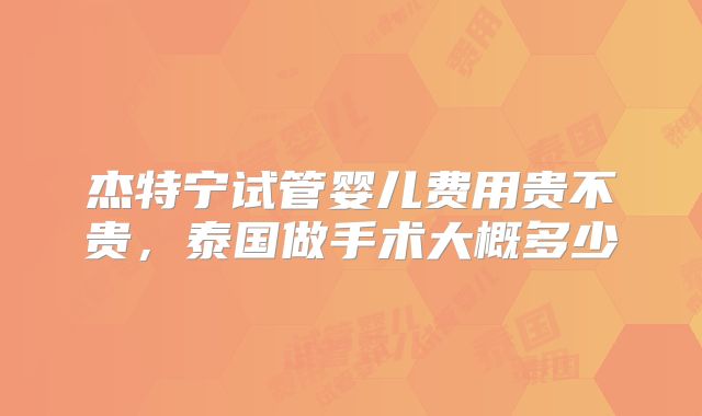杰特宁试管婴儿费用贵不贵,泰国做手术大概多少