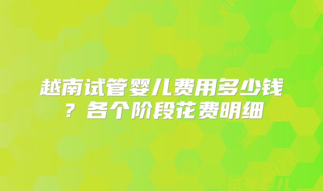 越南试管婴儿费用多少钱?各个阶段花费明细