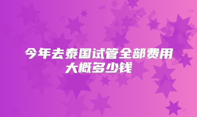 今年去泰国试管全部费用大概多少钱