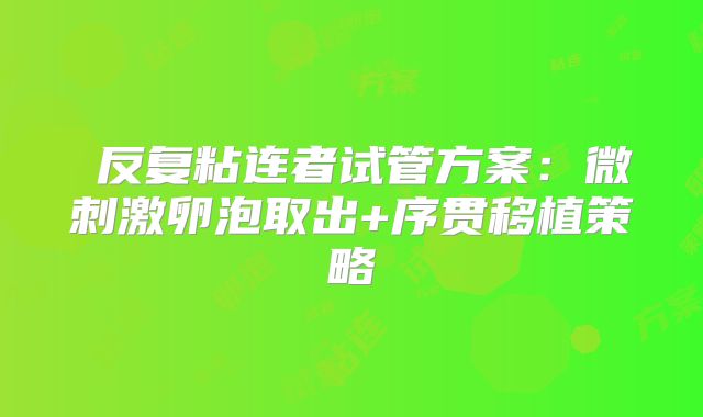 ‌反复粘连者试管方案：微刺激卵泡取出+序贯移植策略‌