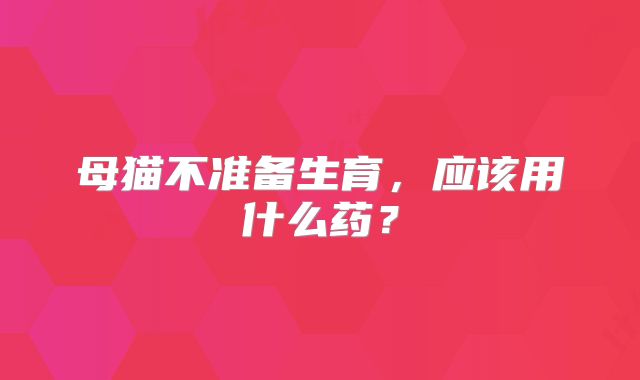 母猫不准备生育，应该用什么药？
