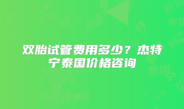 双胎试管费用多少?杰特宁泰国价格咨询