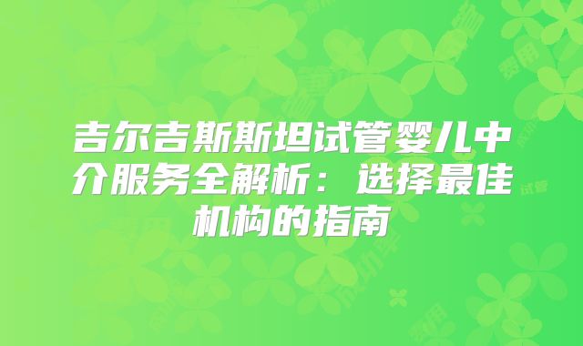 吉尔吉斯斯坦试管婴儿中介服务全解析:选择最佳机构的指南