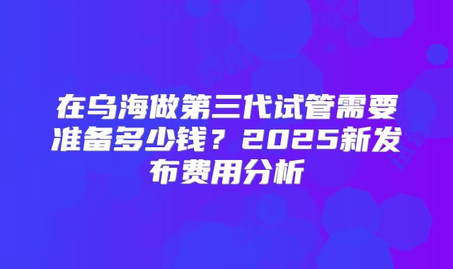 在乌海做第三代试管需要准备多少钱?2025新发布费用分析
