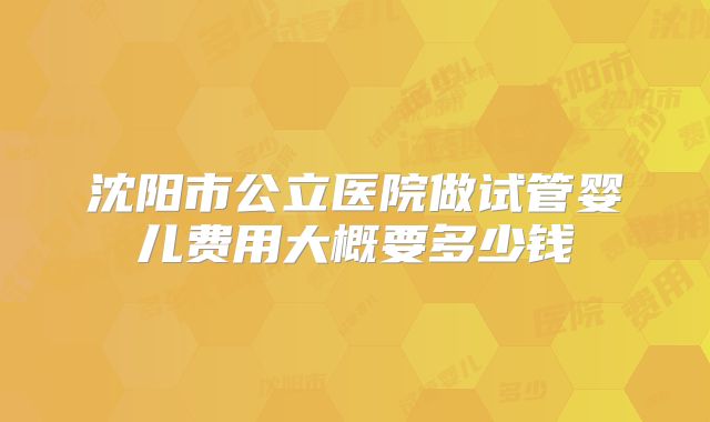 沈阳市公立医院做试管婴儿费用大概要多少钱
