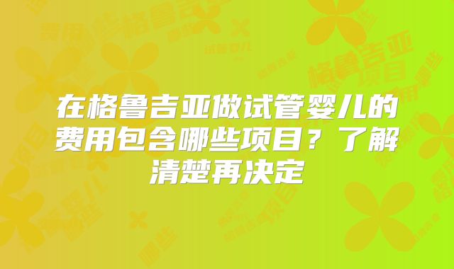 在格鲁吉亚做试管婴儿的费用包含哪些项目？了解清楚再决定