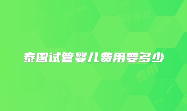 泰国试管婴儿费用要多少