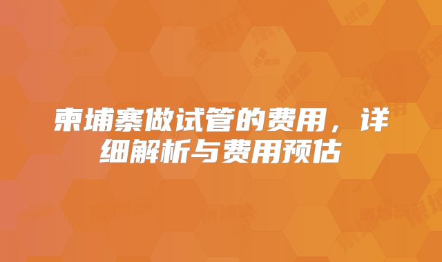 柬埔寨做试管的费用，详细解析与费用预估