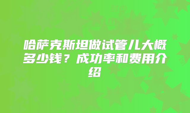 哈萨克斯坦做试管儿大概多少钱？成功率和费用介绍