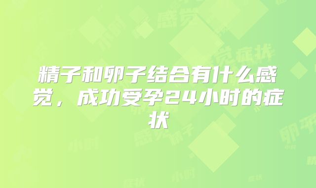 精子和卵子结合有什么感觉，成功受孕24小时的症状