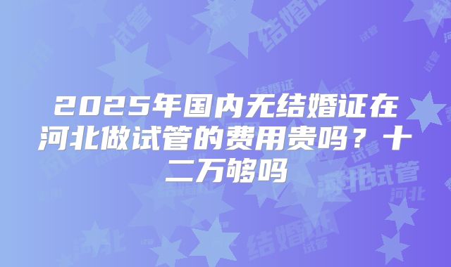 2025年国内无结婚证在河北做试管的费用贵吗?十二万够吗