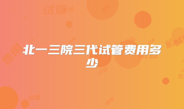 北一三院三代试管费用多少