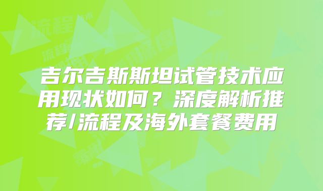 吉尔吉斯斯坦试管技术应用现状如何？深度解析推荐/流程及海外套餐费用